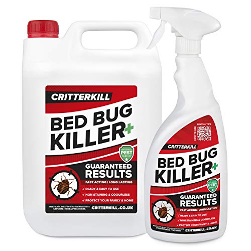 5 Best Bed Bug Sprays UK 2024 Review Spruce Up