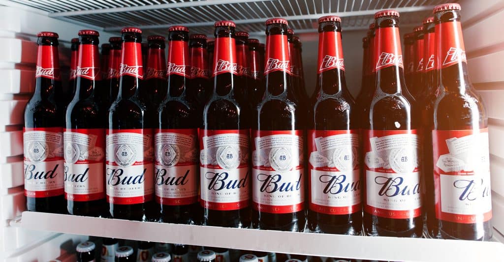 best-beer-fridge-uk