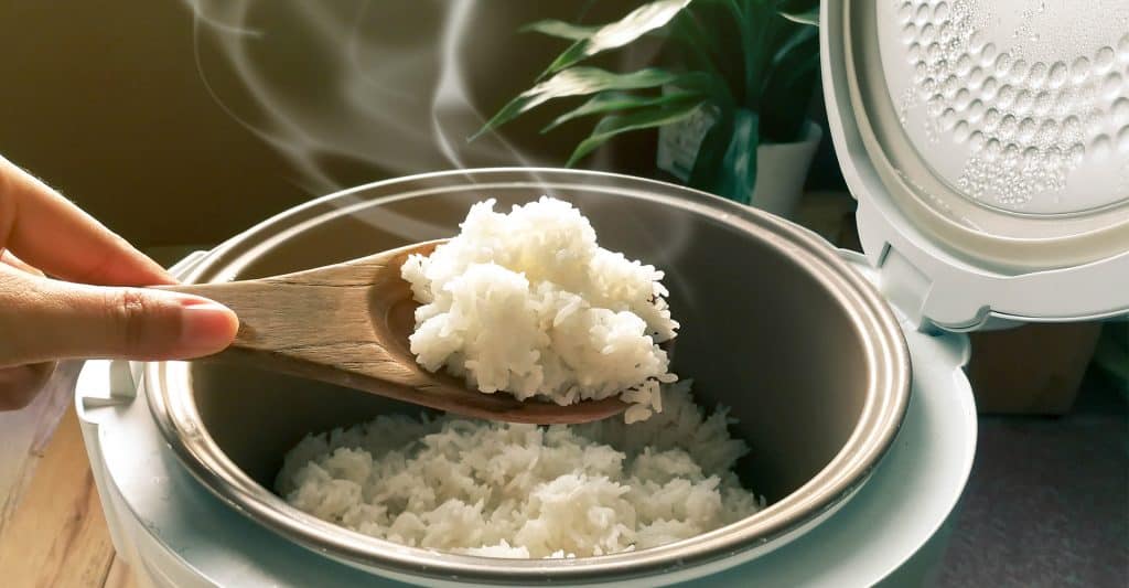 best-rice-cooker-uk