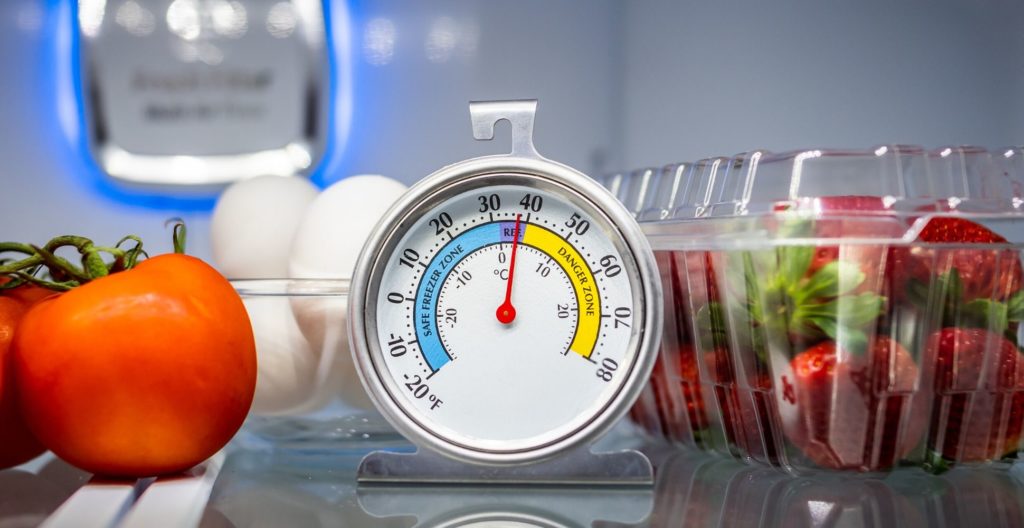 best-fridge-thermometer