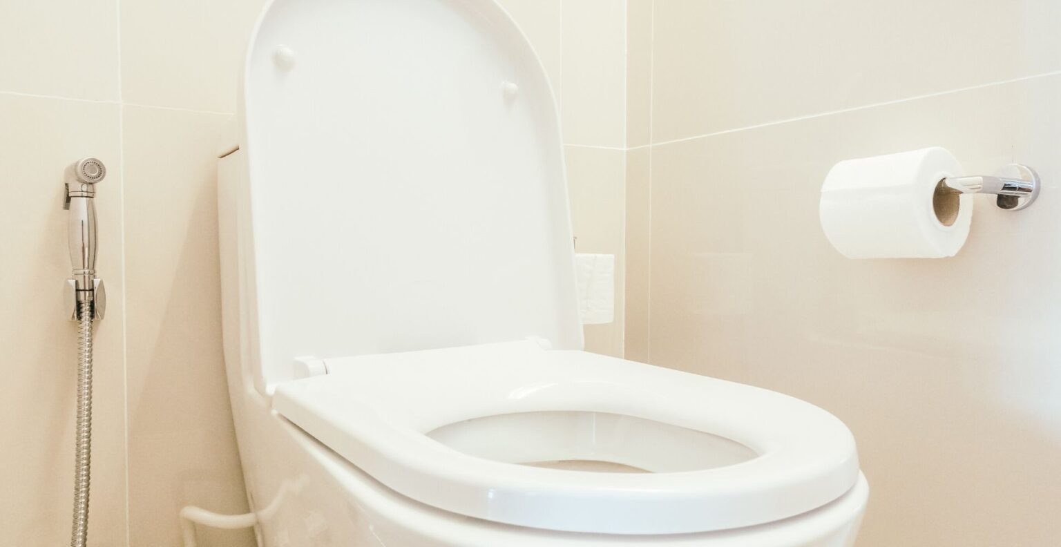 5 Best Toilet Seats UK (2024 Review) Spruce up!