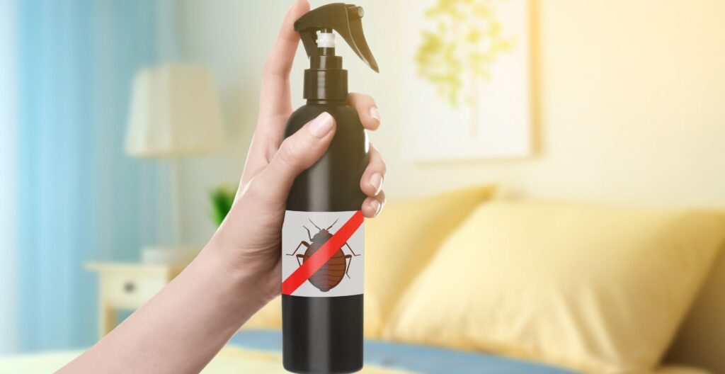best-bed-bug-killer-spray