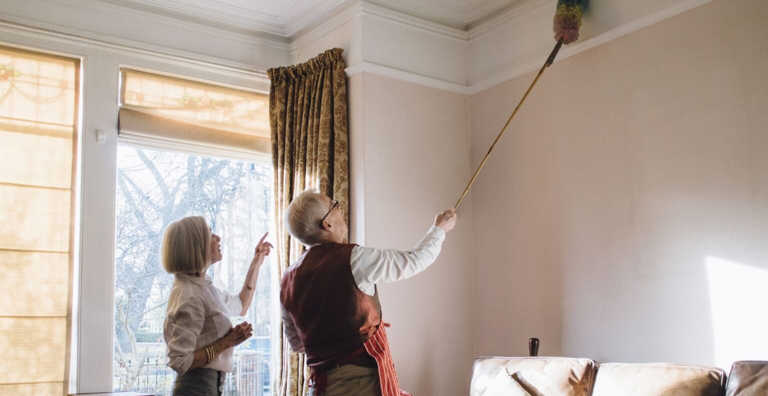 5 Best Extendable Dusters UK (2023 Review) Spruce Up!