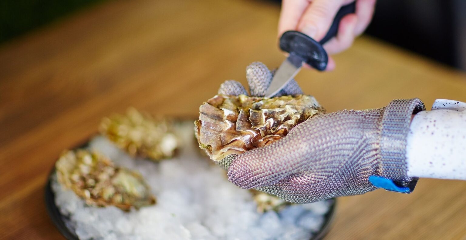 5 Best Oyster Knives UK (2024 Review) Spruce Up!