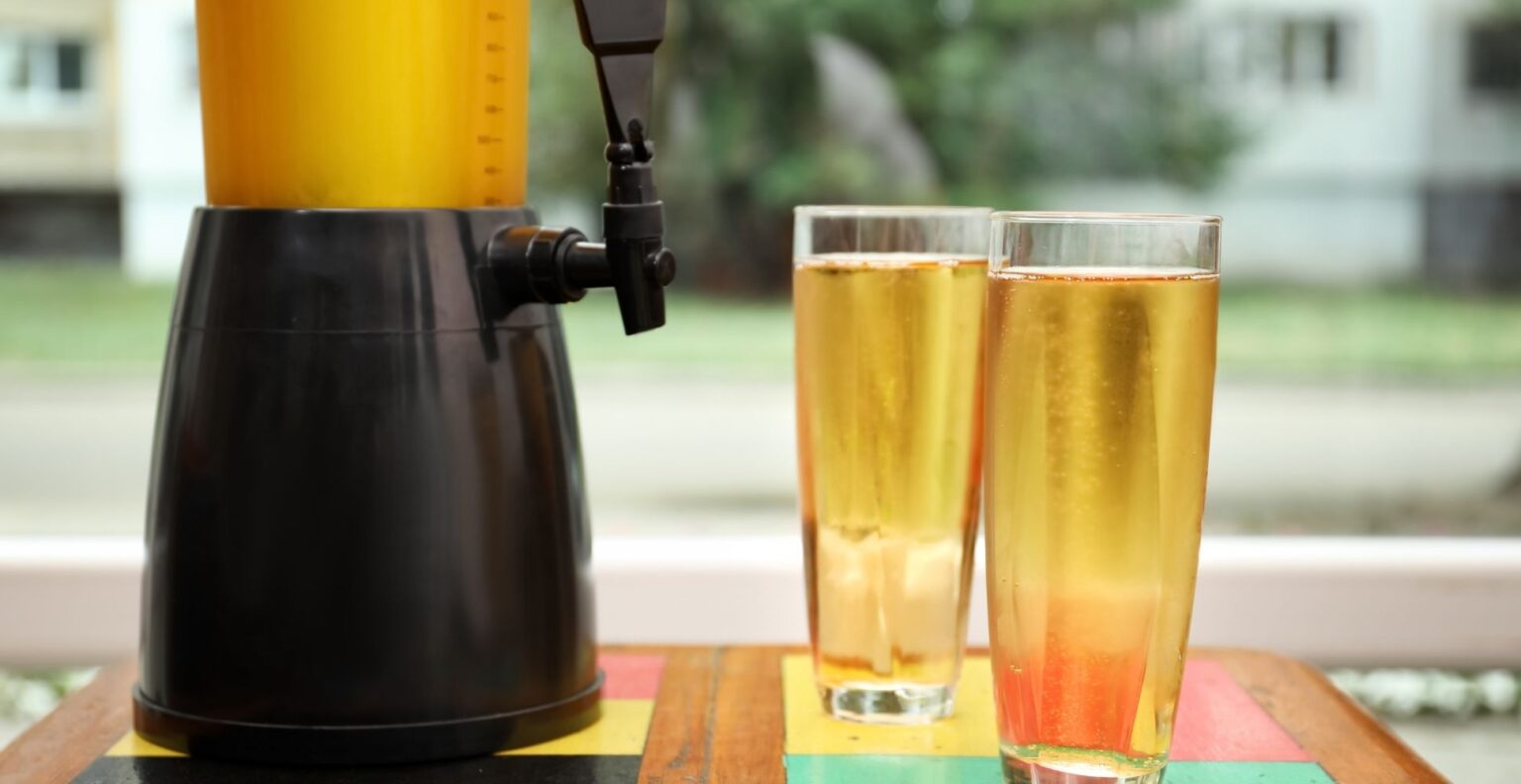 6 Best Beer Dispensers UK (2024 Review) Spruce Up!