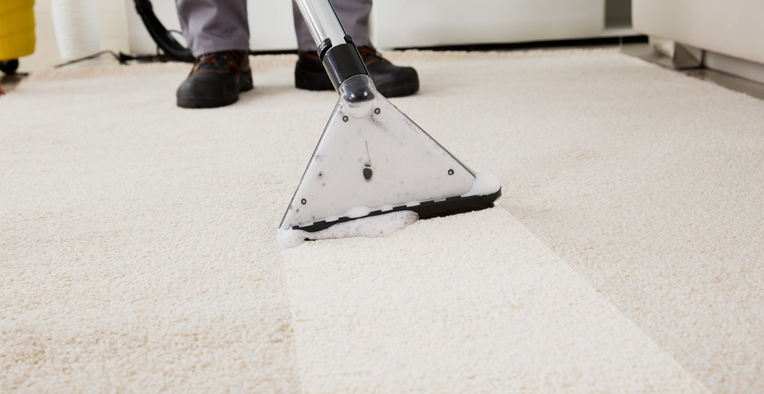 5 Best Portable Spot Cleaners for Carpets (2023 Review)