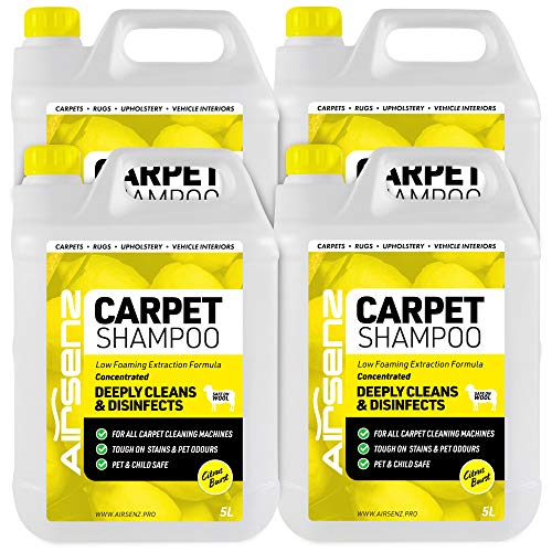 5 Best Carpet Shampoos UK (2024 Review) Spruce Up!