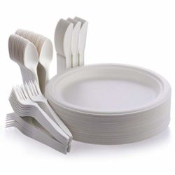 best-disposable-plates Fuyit Biodegradable Disposable Tableware Set