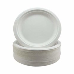 best-disposable-plates Signature Packaging Eco-Friendly Disposable Plates