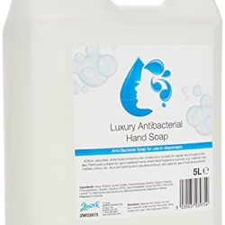 best-hand-soaps 2WORK Anti-Bacterial Hand Wash