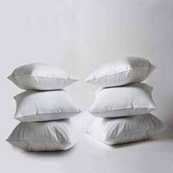 best-hypoallergenic-cushions Iyan Linens Ltd Non Allergenic Cushion Pads