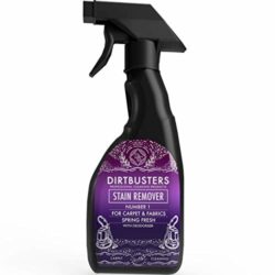 best-stain-removers Dirtbusters Carpet Stain and Spot Remover