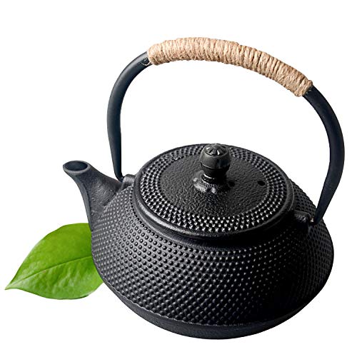 cast-iron-kettles HwaGui- Cast Iron Tea Pots with Infuser Tetsubin T