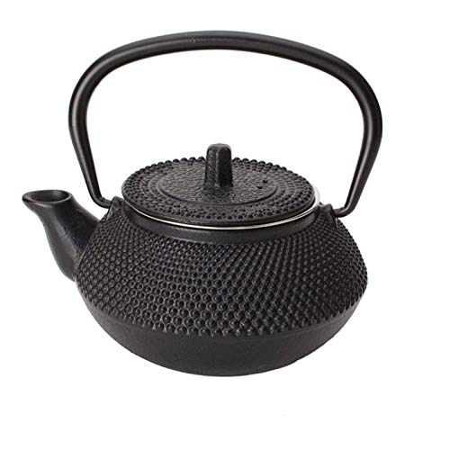 cast-iron-kettles Japanese Style Teapot - 300ml Japanese Tea Kettle