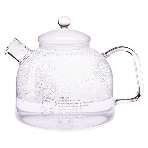 clear-kettles Trendglas Jena innovative kettle from borosilicate