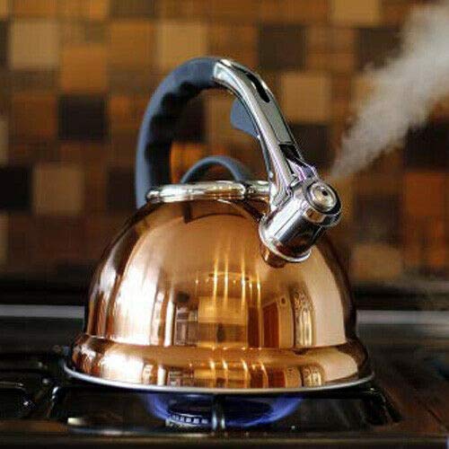gas-kettles Voche® 3.5 Litre Copper Stainless Steel Whistling