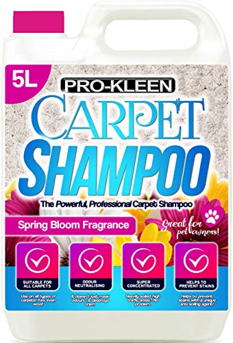 professional-carpet-cleaners Pro-Kleen Carpet Cleaning Solution Upholstery Sham