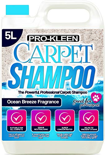 professional-carpet-cleaners Pro-Kleen Professional Carpet & Upholstery Shampoo