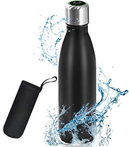 water-purifier-bottles flintronic Stainless Steel Water Bottle, 500ml LCD
