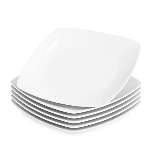 5 Best Dinner Plates UK (2024 Review) Spruce Up!