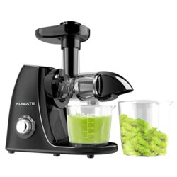 best-masticating-cold-press-juicer B09714YDW4