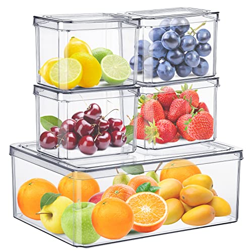fridge-storage-containers Set of 5 Fridge Storage Containers, Plastic Freeze