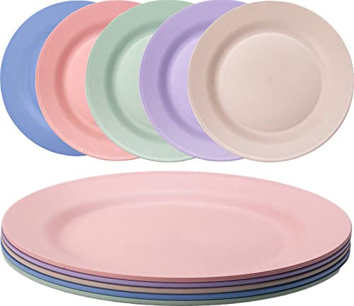 microwave-plates Orrdiffi 10'' Dinner Plates set of 5 Reusable Plas
