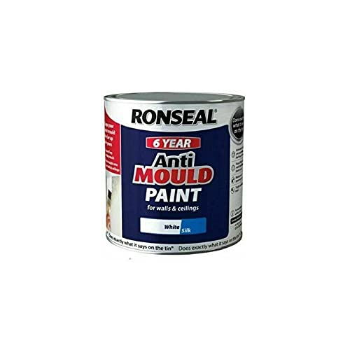 5 Best Anti Mould Paints UK (2024 Review) Spruce Up!