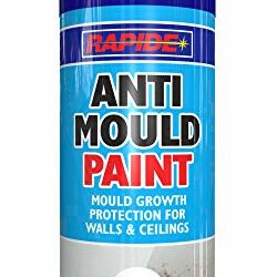 best-anti-mould-paint B07NJFLYNW