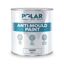 best-anti-mould-paint B0B9HLMPN3