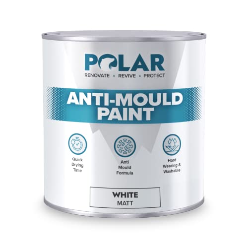 5 Best Anti Mould Paints UK (2024 Review) Spruce Up!