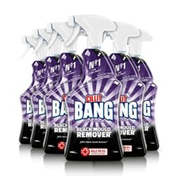 best-mould-removers B07PWGY2Z5