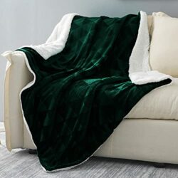 the-best-green-blankets Exclusivo Mezcla 127x178CM Large Throw Blanket, Reversible Brushed Flannel Fleece& Plush Sherpa Blanket(Forest Green)- Decorative, Lightweight, Soft and Warm