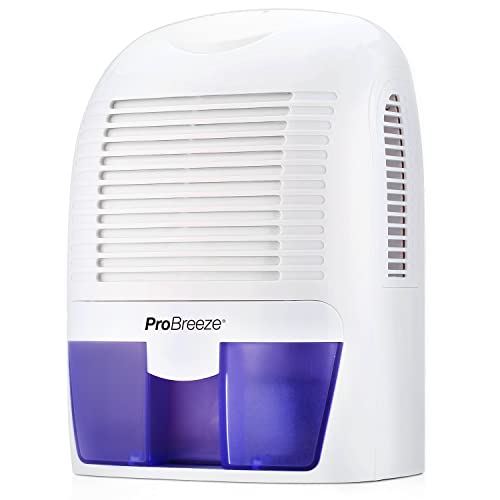 The Best Portable Dehumidifiers - Spruce Up