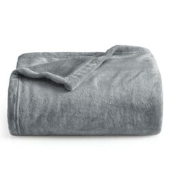 the-best-soft-blankets Bedsure Fleece Blanket Sofa Throw - Versatile Blanket Fluffy Soft Throw for Bed and Couch Travel / Single, Silver Grey, 130x150cm