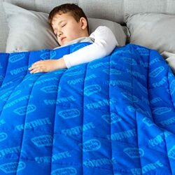 the-best-weighted-blankets-for-children Rest Easy Gaming Weighted Blanket For Children & Adults | Heavy Blanket for Sleep, Stress Relief, Anxiety Relief & Sensory Calming Blanket For Great Sleep | 100% Super Soft Cotton Material