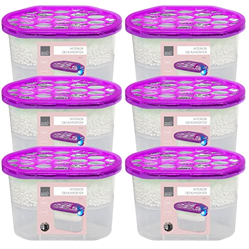 The Best Disposable Dehumidifiers Spruce Up